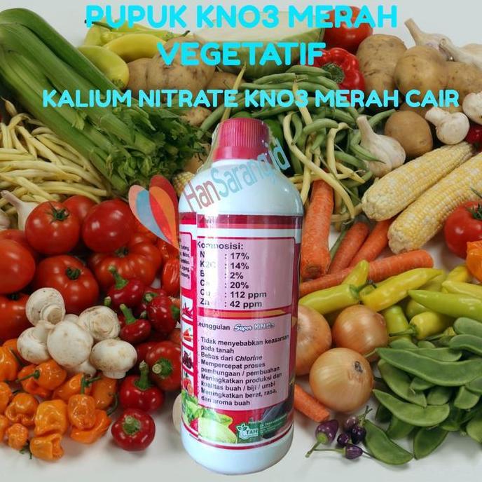 Kno Merah Cair Pupuk Masa Vegetatif Pertumbuhan Kno 3 Merah Cair Kno3 Kno Merah Kalium Nitrate