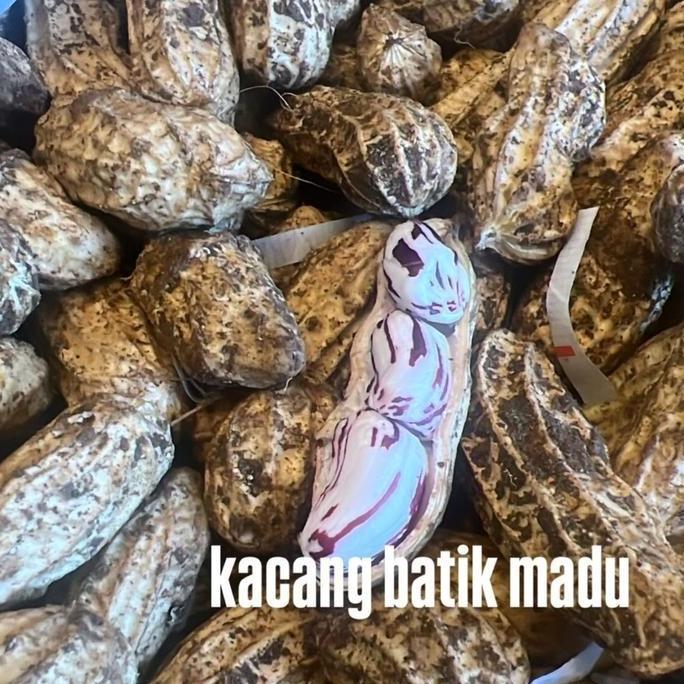 Bisakirim- Kacang Tanah Batik 1Kg/Kacang Tanah