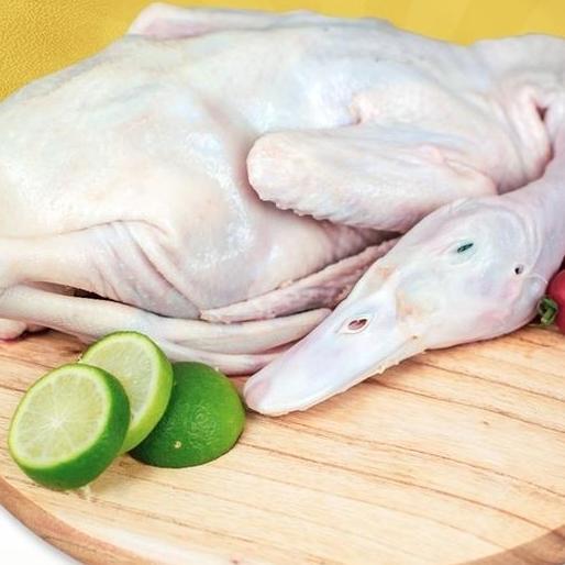 Veganxi- Bebek Peking 1Kg Frozen