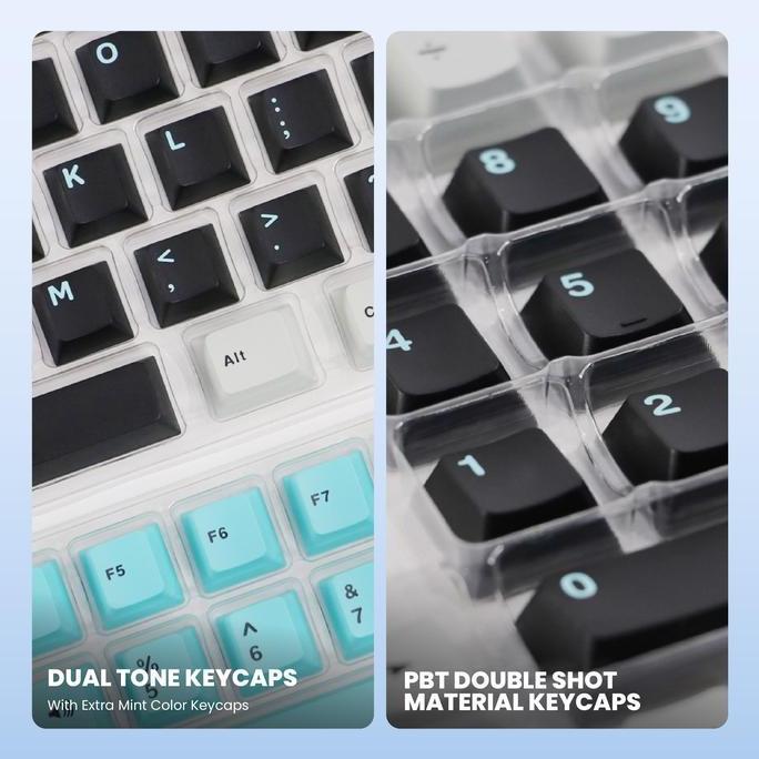 Xcinox- Rexus Keycaps Cherry Profile