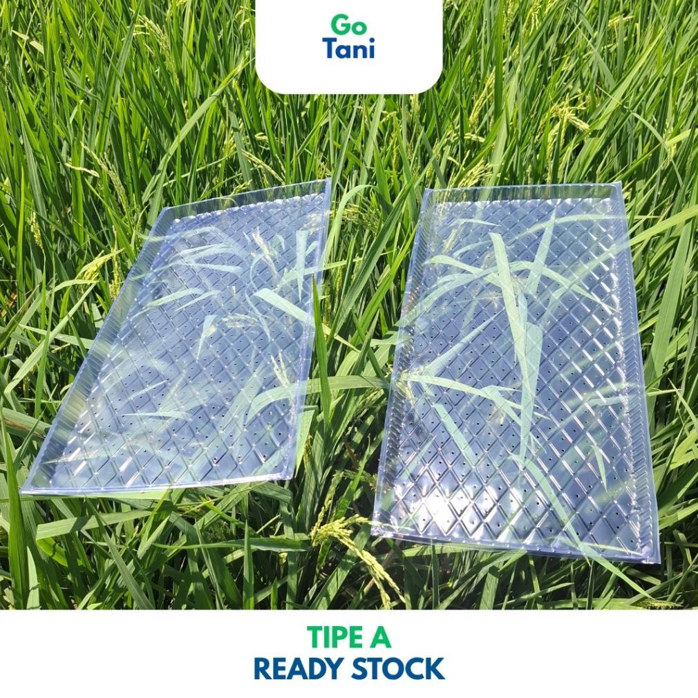 Bisa Cod ( Tipe A ) Tray Semai Benih Padi / Tray Semai Padi / Wadah Semai Padi / Tray Semai ...