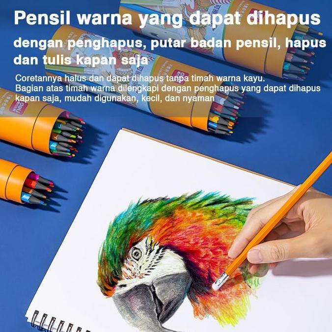 Deli Erasable Colored Pencil / Pensil Warna dapat di hapus 7073
