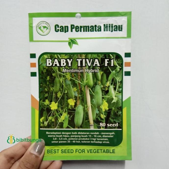 :=:=:=:=] Benih Bibit Mentimun Timun Bayi BABY TIVA F1 80 Biji Cap Permata Hijau