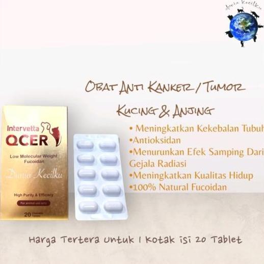 Intervetta Qcer Obat Untuk Kanker Tumor Anjing Kucing 1 Kotak