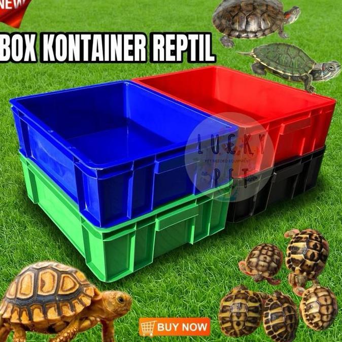 Robyseller2 - Box Kontainer Kura Kura Kotak Kandang Kura Kura Darat Air Box Ikan Sulcata Brazil Rept