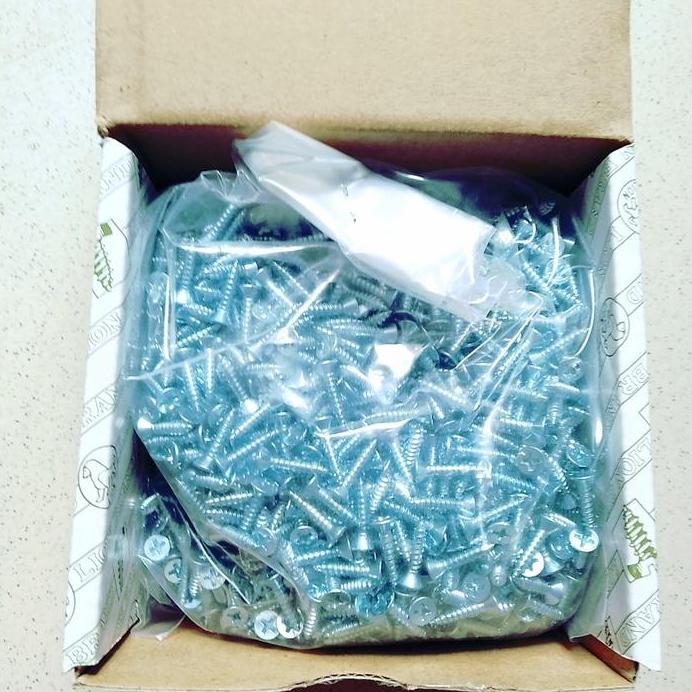 SEKRUP TAPPING KEPALA RATA 6X1=2,5CM /SEKRUP FH 6X1 MOONLION