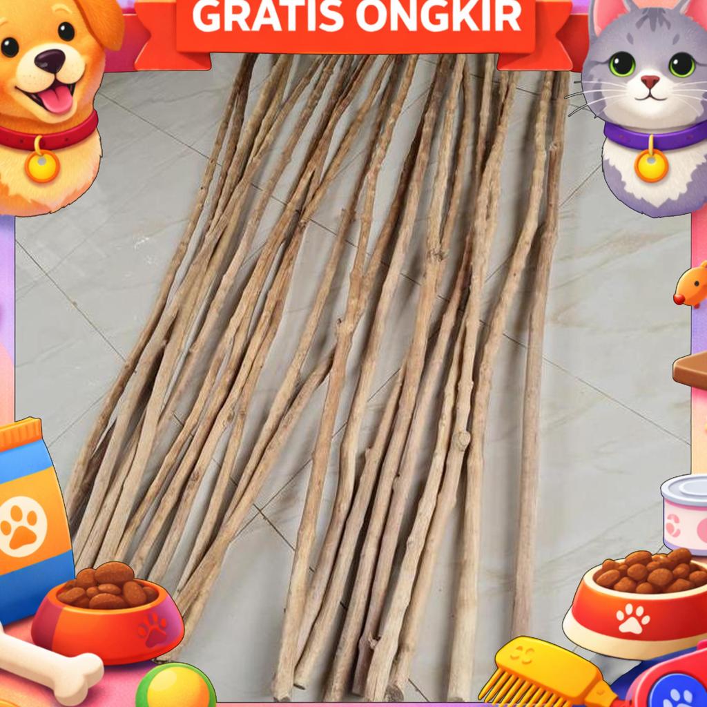 Panjang 2 Meter Kayu Kopi Tangkringan Burung