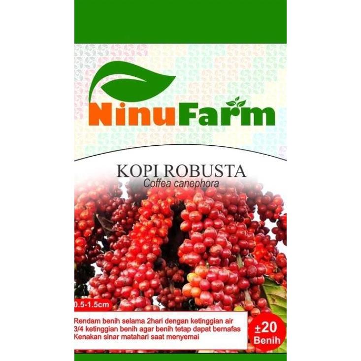 Bibit Buah Kopi Robusta - Ninufarm - 20 Butir