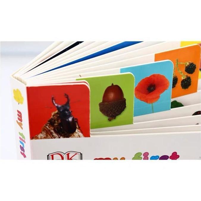 DK Books My first book - Board book - First words book