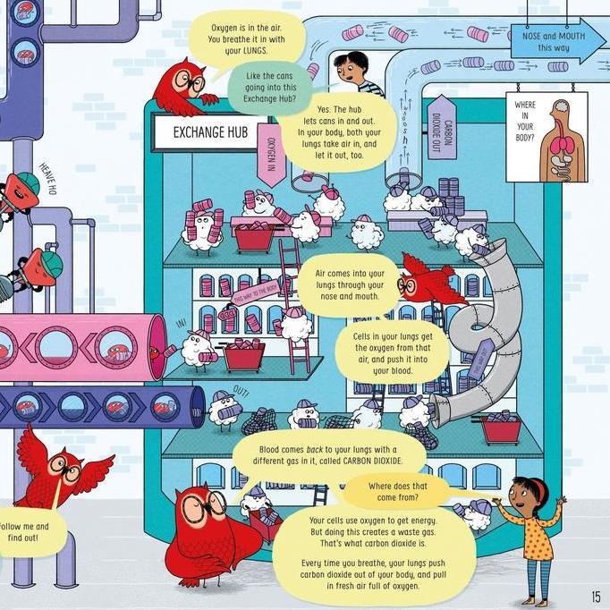 Usborne All about friends, families, diversity, feelings, worries and feard, Book of the Body Brain