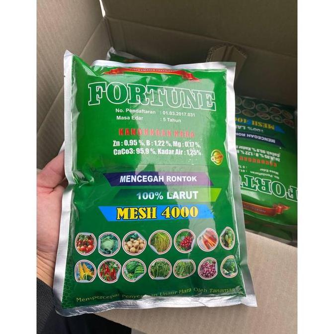 Ground- Promo Obat Semprot Daun Cabe Keriting Fortune 1Kg Pupuk Kalsium Hama Anti Virus Bulai Cabai 