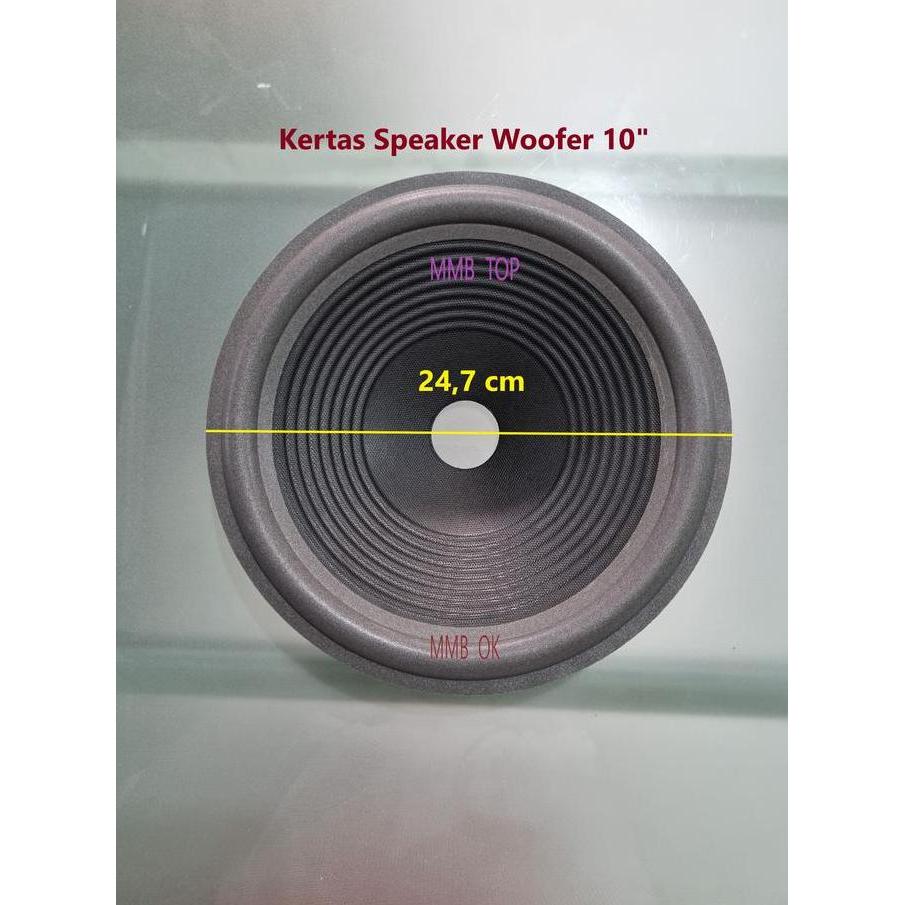 DR217 - kertas speaker 10 in Daun speaker wofer 10in Conus speaker10 in Woofer