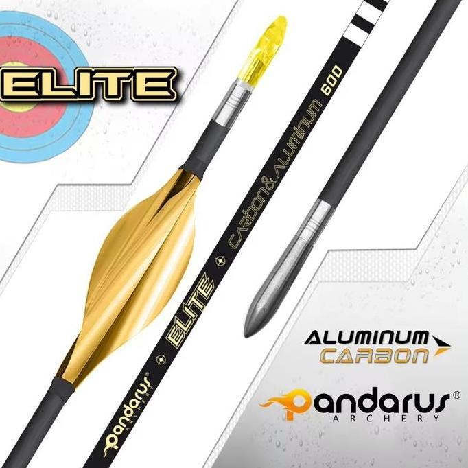 TERBARU Anak Panah Arrow Musen Hybrid Pandarus Carbon Alumunium Elite X10 XT ST 0.001