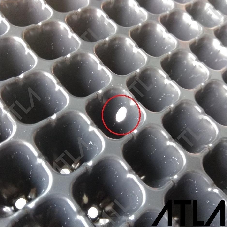 Bisa Cod Tray Semai 200 Lubang Traypot Pot Bibit Biji Tray Nampan Hidroponik ...