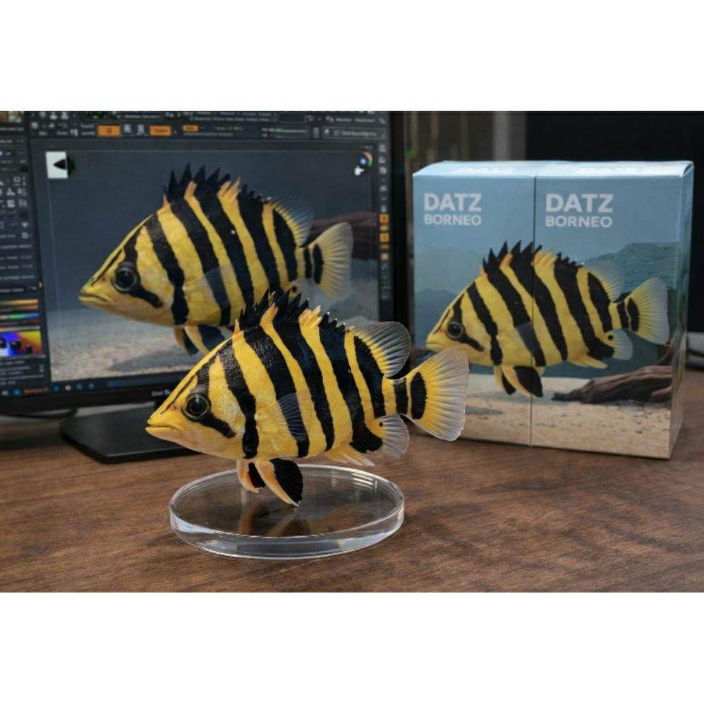 READY ACTION FIGURE DATZ BORNEO 4 BAR