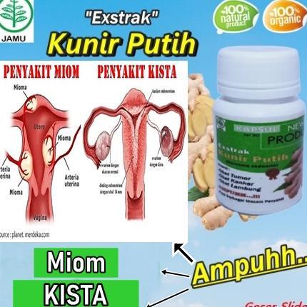 HERBAL KUNYIT PUTIH KISTA MIOM MAAG ASAM LAMBUNG KOLESTEROL KANKER TUMOR DIABETES KEPUTIHAN ANTIOKSI