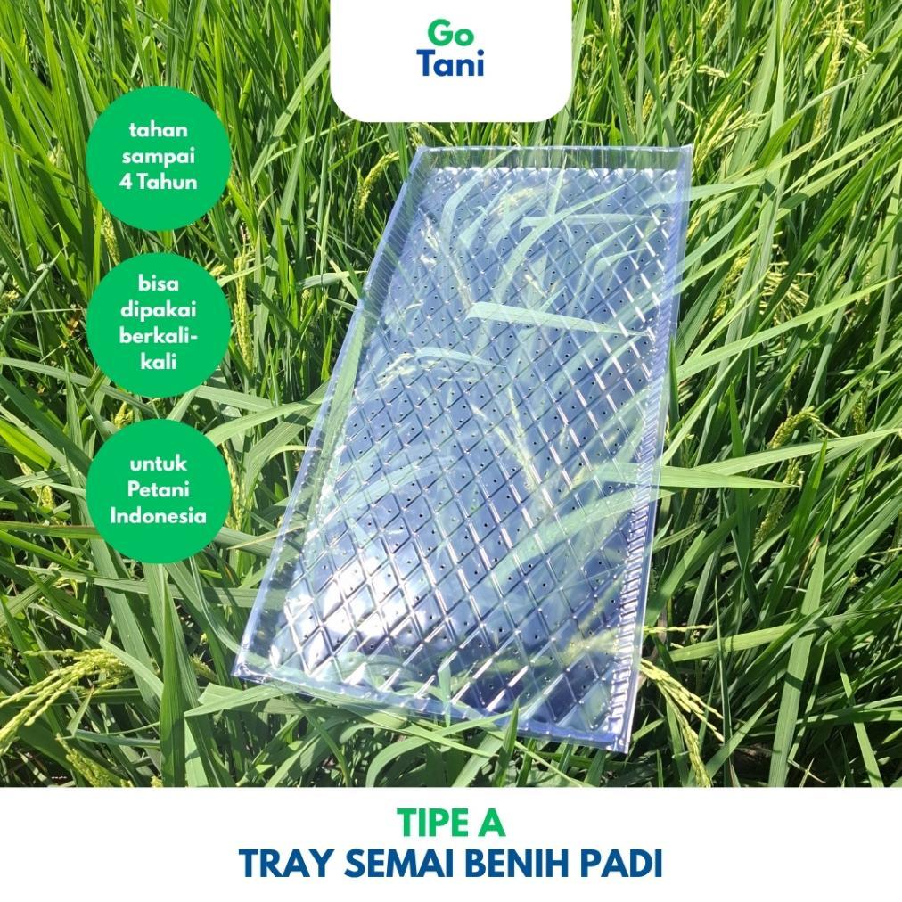 Bisa Cod ( Tipe A ) Tray Semai Benih Padi / Tray Semai Padi / Wadah Semai Padi / Tray Semai ...