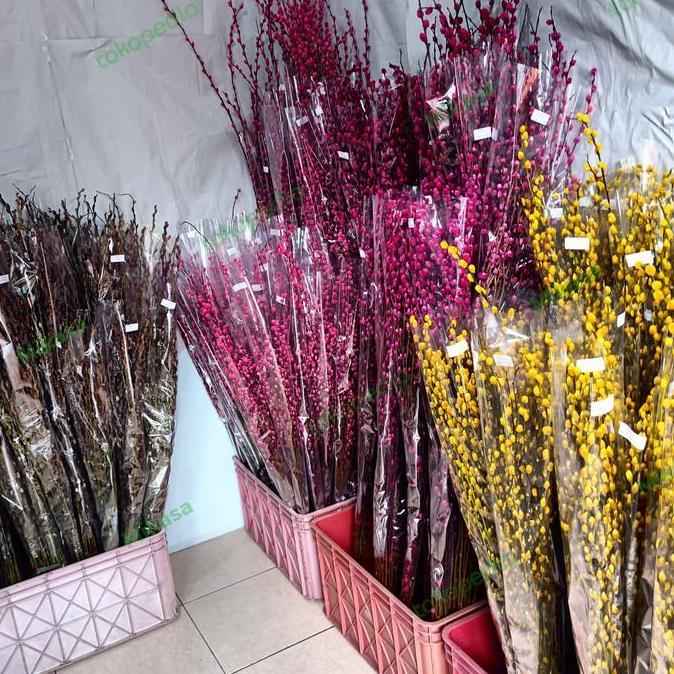 Flowandbe- Bunga Pussy Willow Imlek