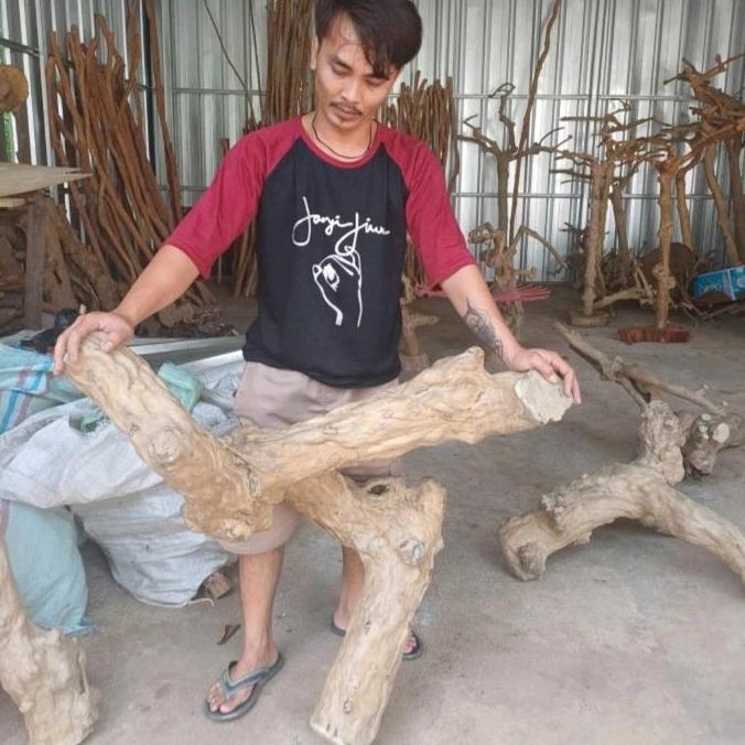 Tangkringan tenggeran iguana super jumbo XXL BISA GRAB