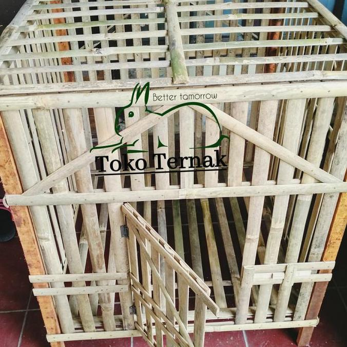 KANDANG AYAM Bambu kandang jago