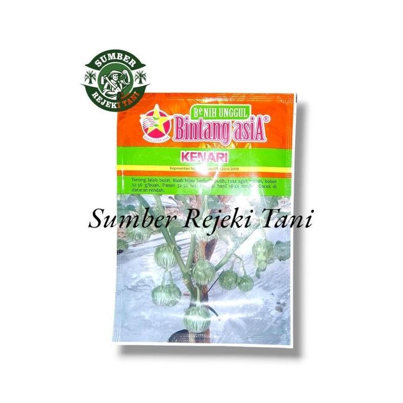 benih terong lalap kenari