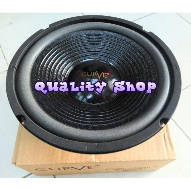 promo speaker woofer 10 inch curve 300 watt 8 ohm