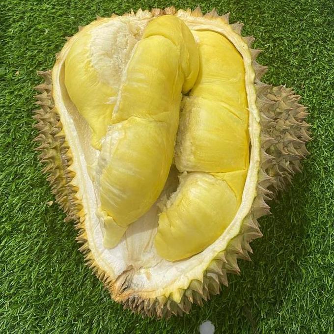 Frutexz- Durian Montong Palu Parigi Utuhan/Butiran
