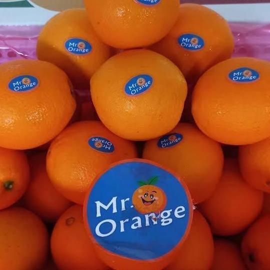 Frutexz- Sunkist | Sunkist Navel | Sunkist Madu | Sunkist Manis - 1Kg