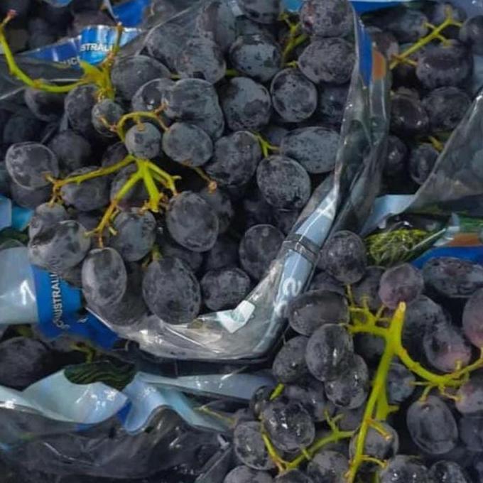 Frutexz- Anggur Autumn Australia Manis/1Kg