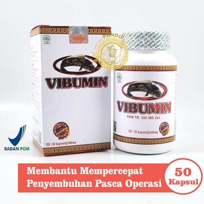 Fit- Vibumin / Vibumin Plus / Ikan Gabus / Daya Tahan Tubuh / Pasca Operasi