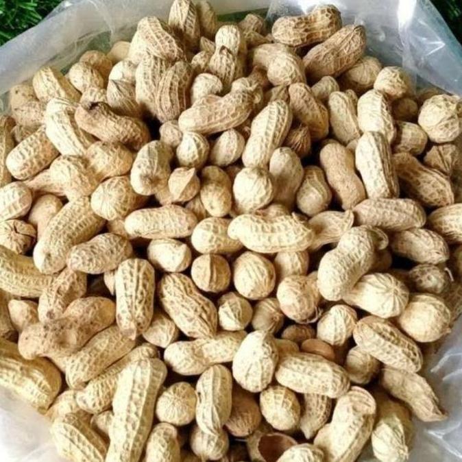 Idul Fitri 2026 Cod 1 Kg Aneka Snack Cemilan Kiloan Jajanan Lebaran Astor Kacang Koro Basreng Usus S