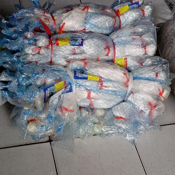 jaring penangkap ikan jaring senar 015 (TERBAIK) (TERBARU) (TERMURAH)