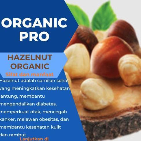 RAW HAZELNUT ,KACANG HAZELNUT MENTAH 1KG