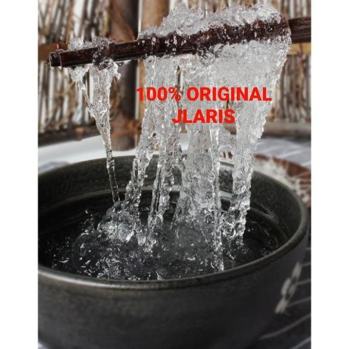 Snow Bird Nest premium 500gram/ xue yan