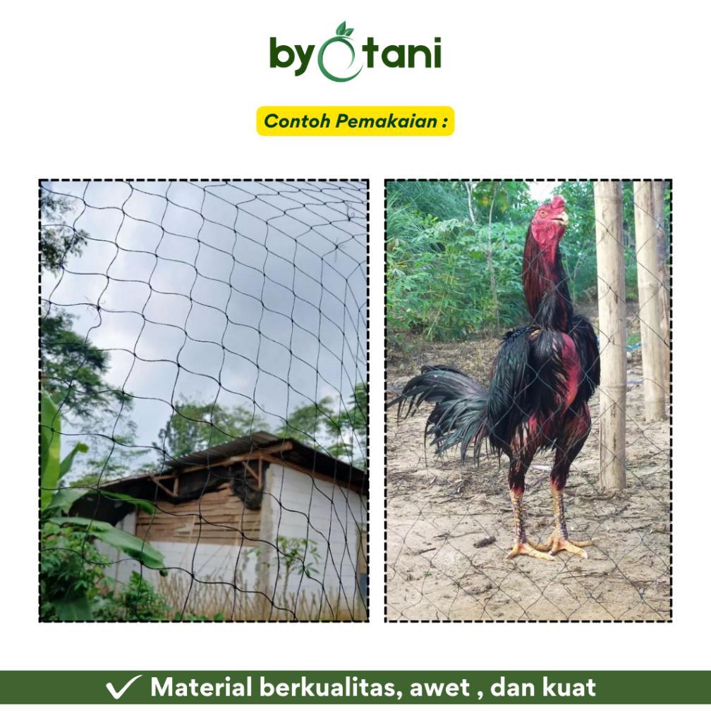 Bisa Cod Jaring Ayam 3 Meter / Jaring Kandang Ayam / Jaring Kebun / Jaring Serbaguna .