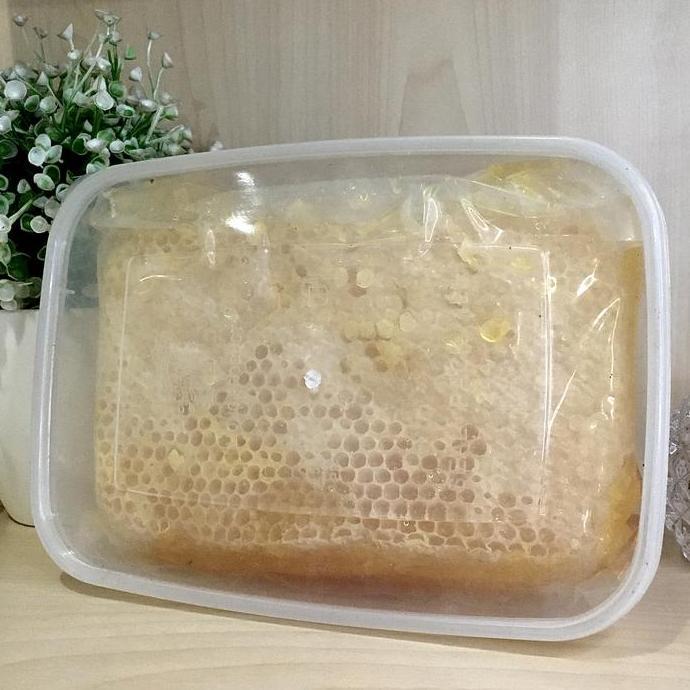 Madu Sarang Asli Kemasan 250gr dan 500gr Sarang Madu Murni Asli Honeycomb Premium