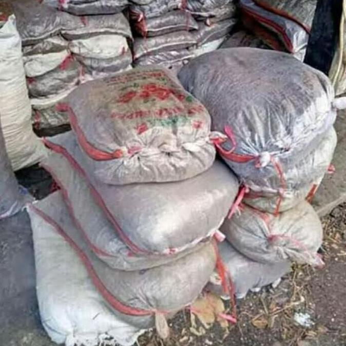 media tanam fermentasi