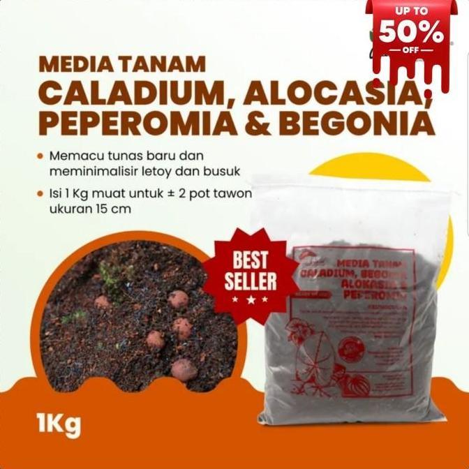 media tanam alocasia siap pakai - media tanam alocasia 1 kg