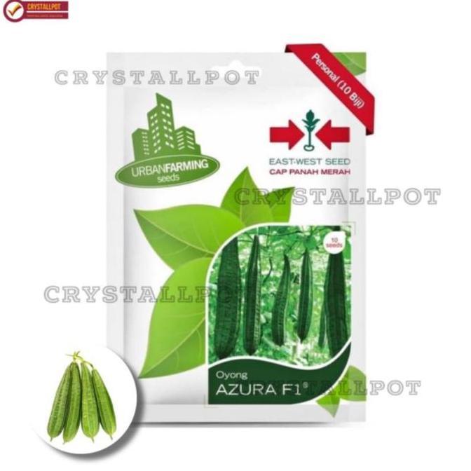 Gardensw- Benih Bibit Oyong Azura F1 Cap Panah Merah - Oyong Azura F1