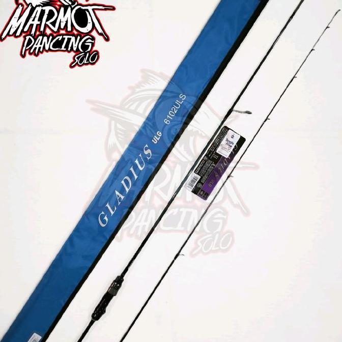 JORAN BC & SPINNING DAIWA GLADIUS ULG FUJI FAZLITE