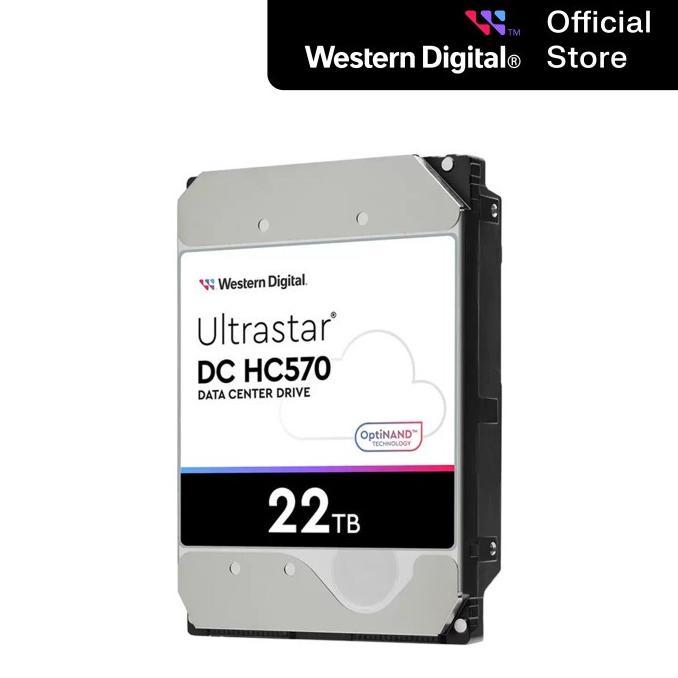 Wd Ultrastar 22Tb - Hdd Hardisk Internal Data Center Enterprise Server