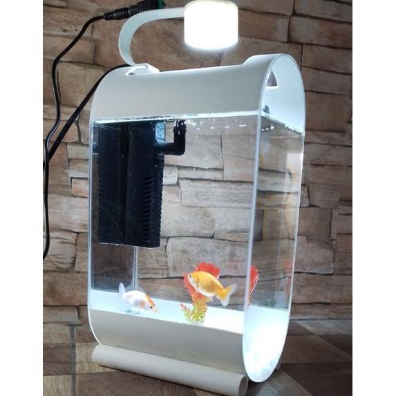 aquarium mini unik ikan cupang ikan hias Guppy neon glow fish bergaransi