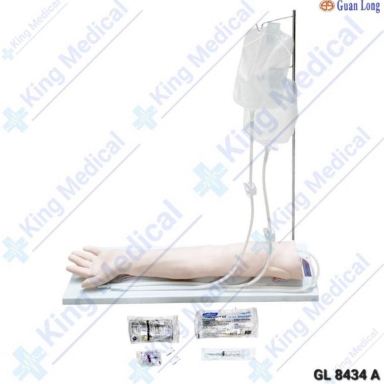 Manekin Lengan Infus/Manekin Phantom Alat Peraga GL 8434A Guan Long