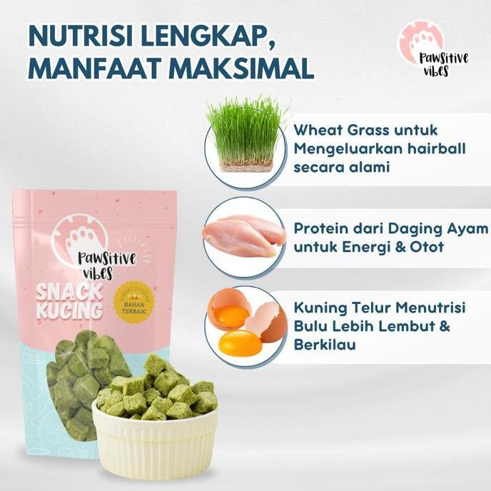 Termurah  Pawsitive Vibes Cat Grass Dadu - Snack Rumput Kucing - Cat Grass Premium Grass Wheatgrass 