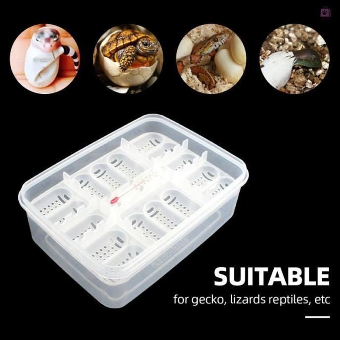 16 Reptile Egg Tray Tempat Telur BD Gecko Snake Incubator Box + Thermo