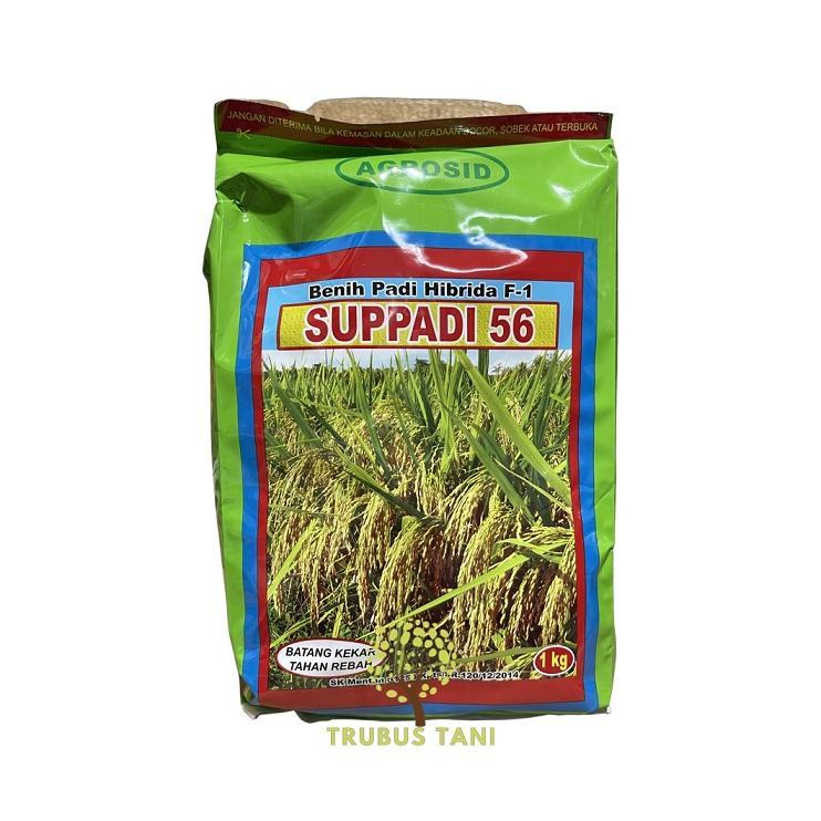 ARN Benih Padi Hibrida Supadi 56 1KG Hasil Tinggi