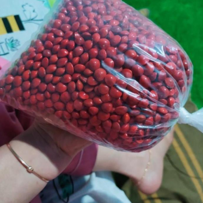 Allthebest- Biji Saga Merah 1 Kg Siap Goreng Organik Bibit Hasil Kehutanan Indo