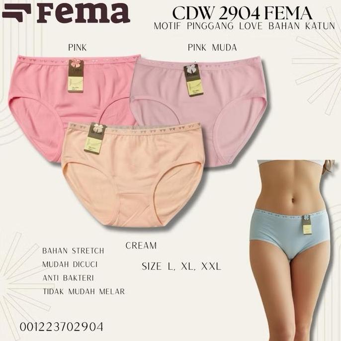 6,12Pcs CD Celana Dalam Wanita Wenrou 2904 Katun Lembut Nyaman Dewasa Cewek