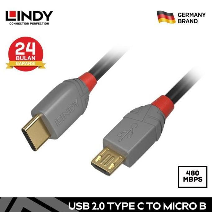 Wizard- Lindy 36891 1M Kabel Usb Type C To Micro Usb Dac Cable 480Mbps