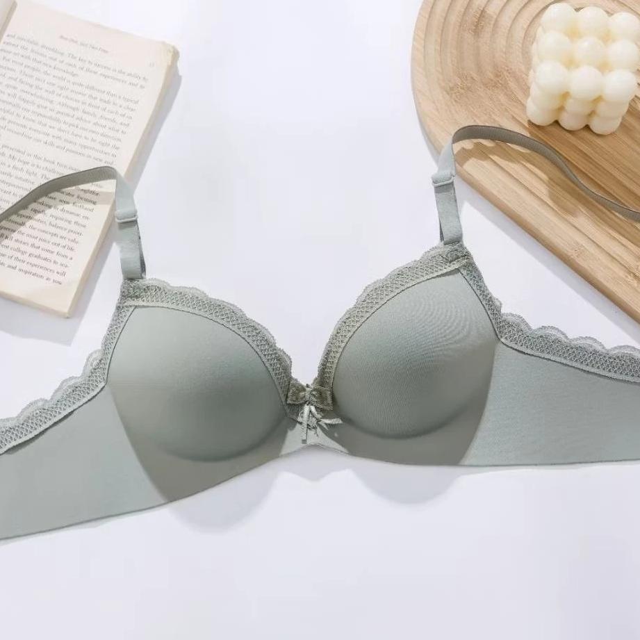 Elena Push Up Bra Seamless Tanpa Kawat Busa Tebal Cup B Kait 2 Polos Bh 34B - 38B E B04